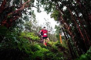 BIB: 
                            <button type="button" onclick="openModal(26202506)" class="btn btn-primary btn-sm float-right btn-popup" data-toggle="modal" data-target=".modal-high-quality">
                        <i class="fas fa-shopping-cart"></i> Add to Cart
                    </button>
                                            <button type="button" onclick="isThisMe(26202506, true)" class="btn btn-success btn-sm float-right btn-popup btn-isme hidden" data-toggle="tooltip" data-placement="bottom" title="นี่คือรูปของคุณใช่ไหม คลิกที่นี่เพื่อเอาเข้าอัลบั้ม">
                        <i class="fas fa-plus"></i> Add to album
                    </button>
                    <button type="button" onclick="isThisMe(26202506, false)" class="btn btn-warning btn-sm float-right btn-popup btn-isnotme hidden">
                        <i class="fas fa-ban"></i> Remove from album
                    </button>